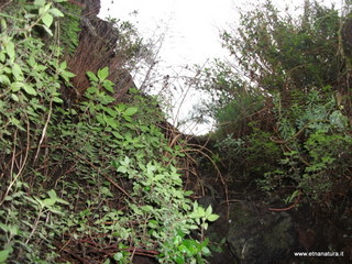 Grotta Monpeloso